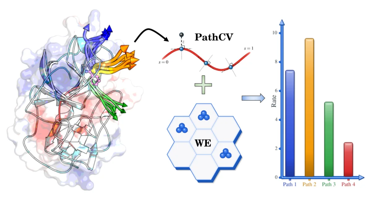 Schematic showing a neural-network path collective variable (PathCV) combined with weighted-ensemble (WE) sampling, producing separate rate estimates for four distinct pathways.